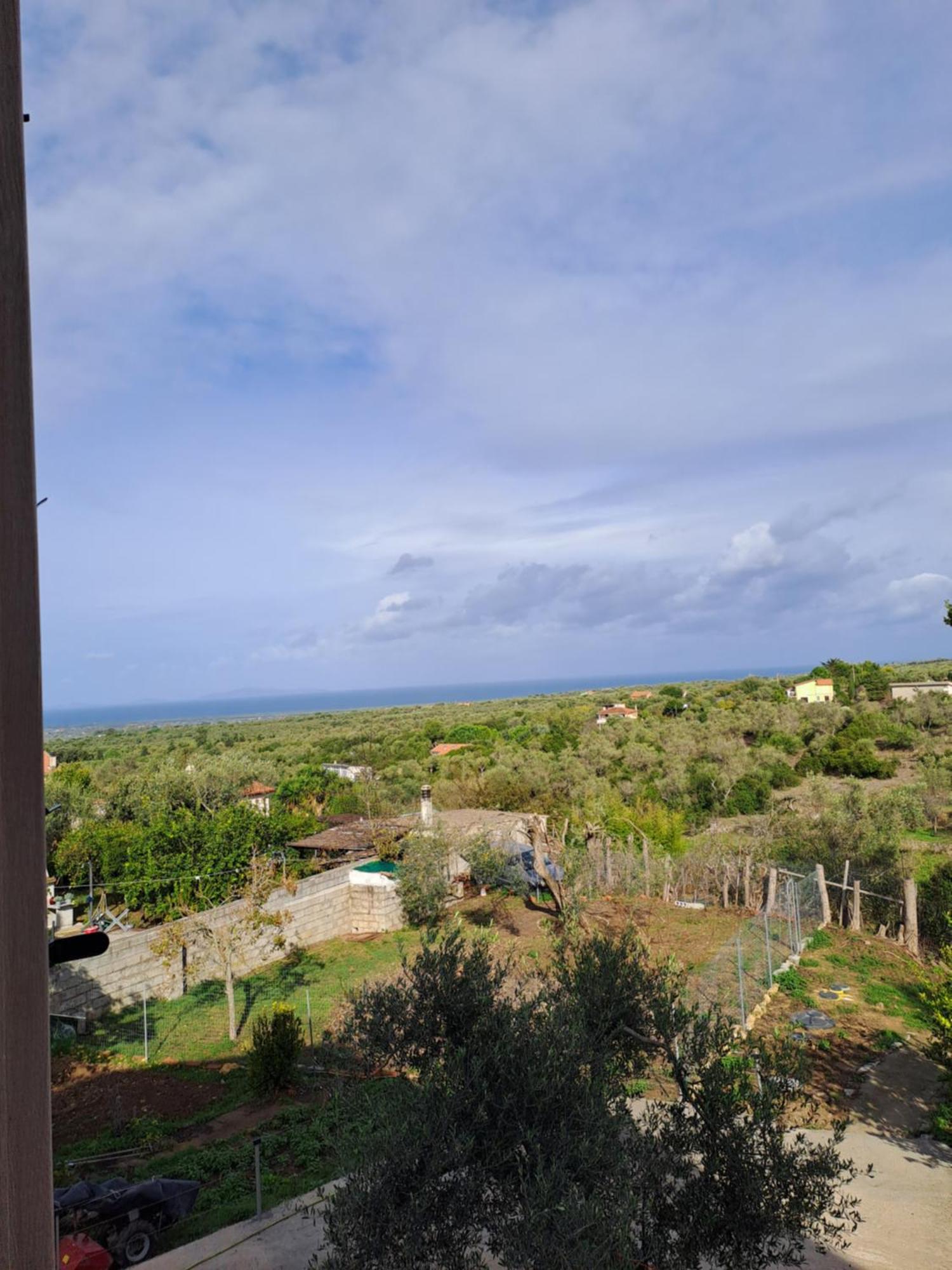 Villa Andres Sassari Extérieur photo